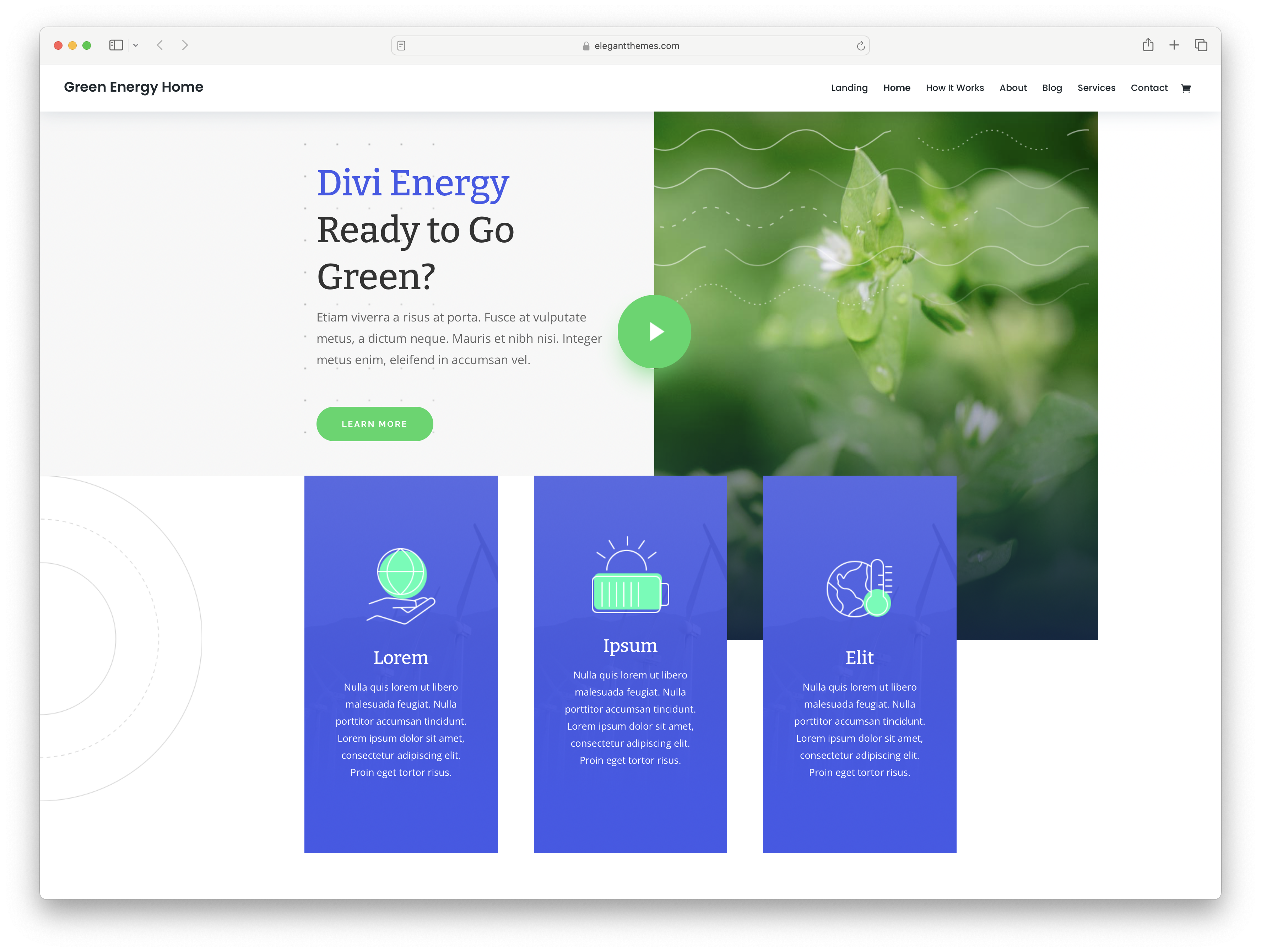 Divi - green energy WordPress theme